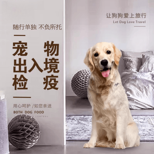 渭南市宠物托运到哥伦比亚猫狗宠物入境规定和