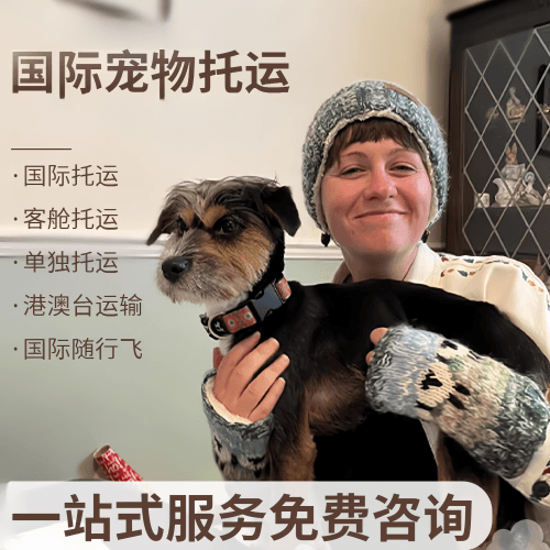 渭南市国际宠物托运到阿根廷宠物入境规定和要