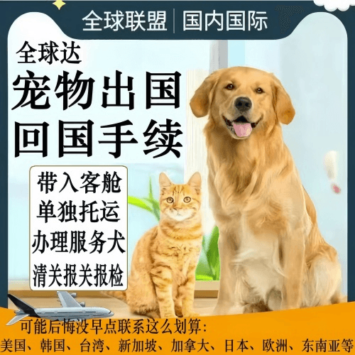 渭南市宠物托运到柬埔寨宠物入境规定和要求