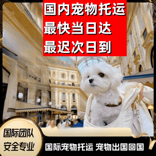 渭南市到澳大利亚（澳洲）宠物入境规定和要求